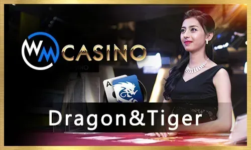 Nino Gaming Free Spins Arcade Games